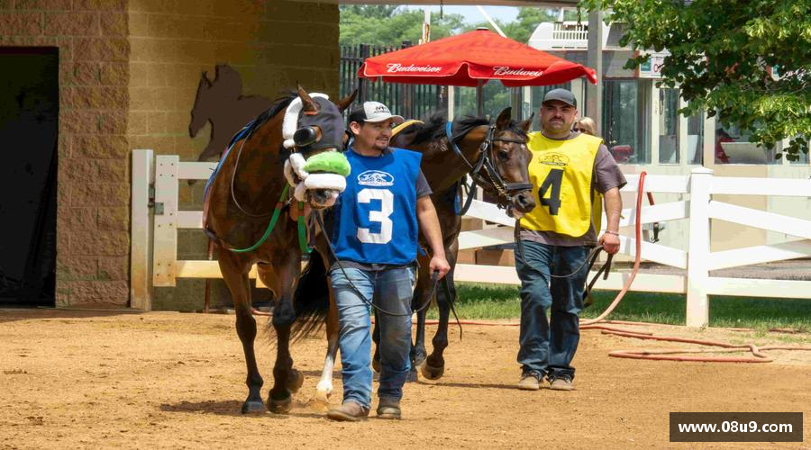 见证冠军诞生的瞬间！